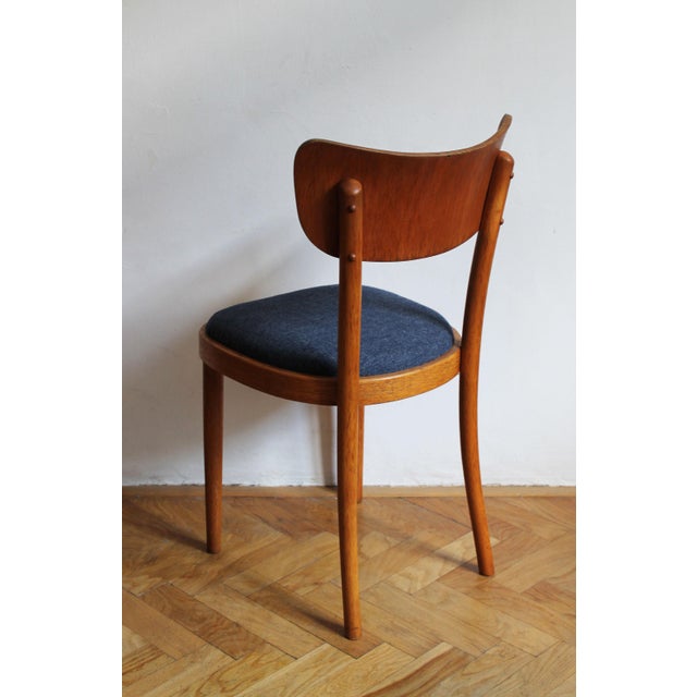 Czech Beech Dining Chair by Up Rousínov from Up Závody, 1960s For Sale - Image 9 of 17