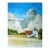 San Joaquin Farmhouse Lynne French 11x14 California Landscape Oil Painting For Sale