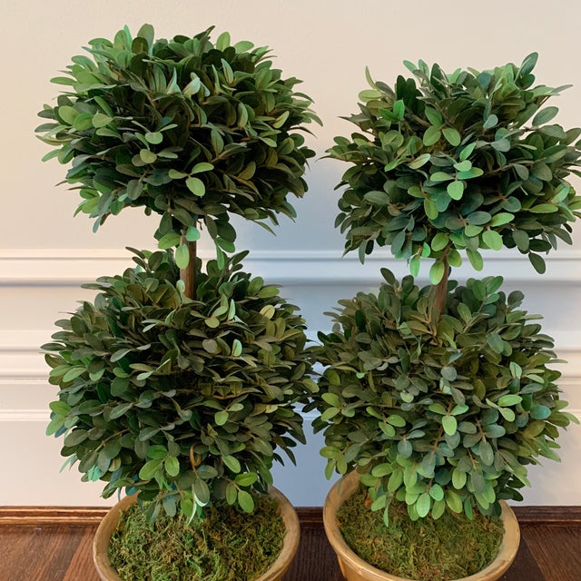 Faux TerraCotta Topiaries A Pair Chairish