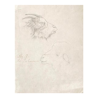 Antique Study of Sheep and Goat For Sale