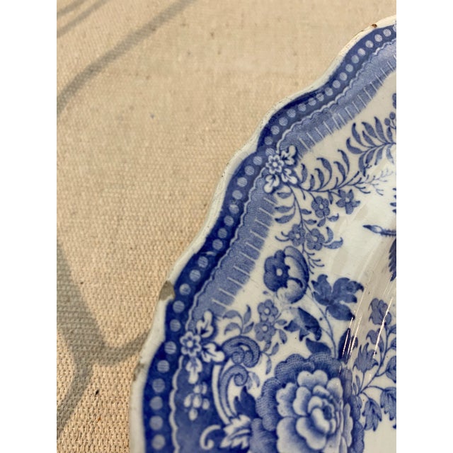 Mid 19th Century Blue & White English Staffordshire Transferware Plates- Set of 5 For Sale - Image 11 of 13