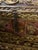 Italian Early 18th Century Italian Carved Giltwood and Painted Dome Top Chest For Sale - Image 3 of 7