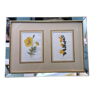 Italian Frame With Mirrors and English Chromolithographic Prints of Flowers - 05 For Sale