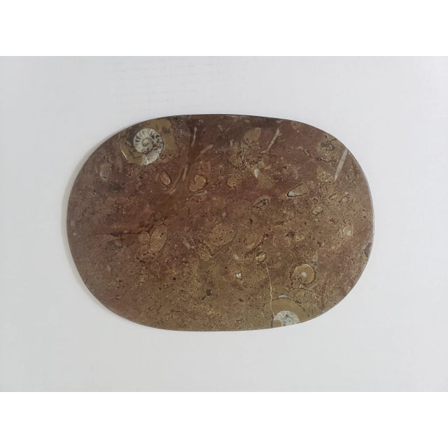 Contemporary Oval Fossil Plate Dish For Sale - Image 3 of 7