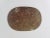Contemporary Oval Fossil Plate Dish For Sale - Image 3 of 7
