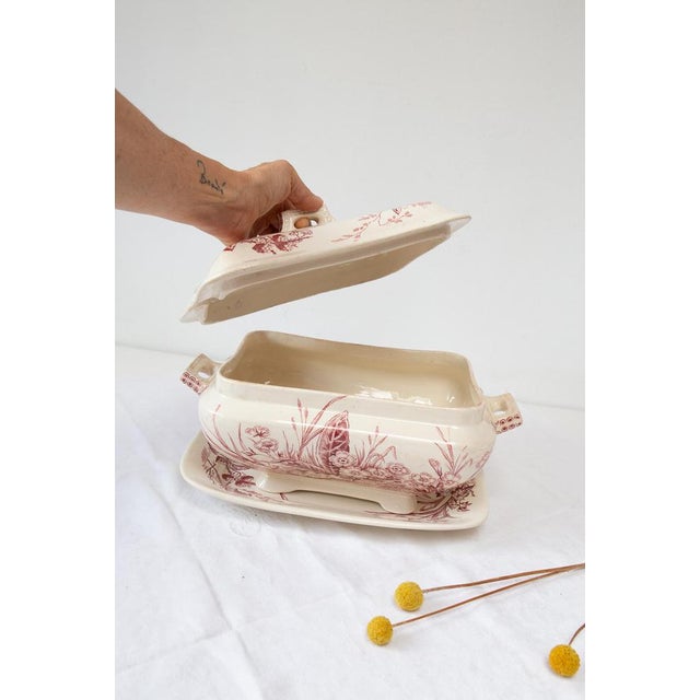 Antique English Tureen with Plate Francis & Co Primrose C., 1860 For Sale - Image 3 of 13