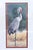 1990s 1990s Mary Erickson Signed Crane Print Set – Sandhill Crane I, Sandhill Crane II & Whooping Crane – Framed Coastal Wildlife Art (Set of 3) For Sale - Image 5 of 17