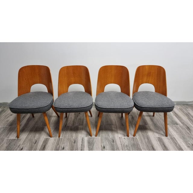 Dining Chairs by Oswald Haerdtl, 1950s, Set of 4 For Sale - Image 16 of 16