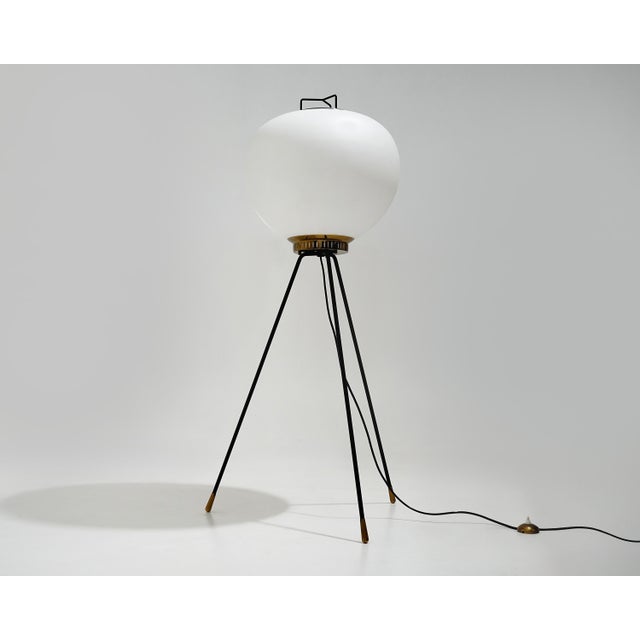 GlassTripod Floor Lamp from Stilnovo, 1950s For Sale - Image 16 of 16