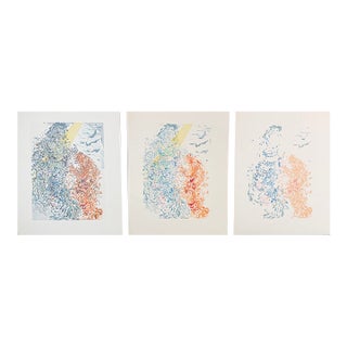 Salvadro Dali Divine Comedy Heaven Canto 14 Decomposition 3 Pieces For Sale