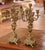 Metal Pair of 19th Century French Louis XV Rococo Bronze Dore Five-Light Candelabras For Sale - Image 7 of 12