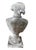 Vintage Anthropomorphic Cast Iron Pointer Dog Bust For Sale In West Palm - Image 6 of 12