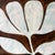 A strikingly graphic and sculptural original painting featuring an oversized tulip rendered in rich chocolate brown...