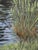 Painting is 20x24 on canvas. the stretcher bar ia 3/4 inch deep on the sides. There are no defects or damages to it. Newly...