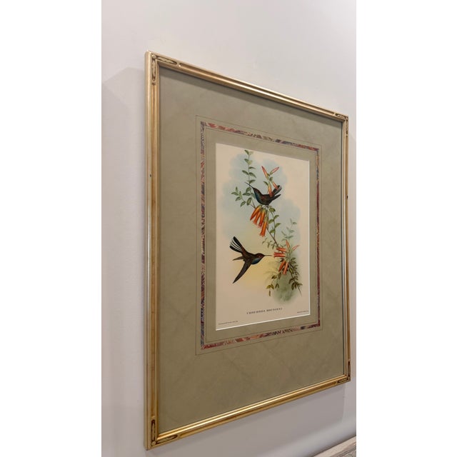Original Circa 1850 John Gould “Urochroa Bougieri” Hand-Colored Hummingbird Lithograph For Sale In Phoenix - Image 6 of 8