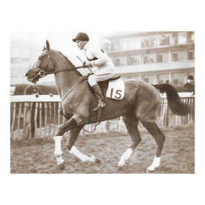 1938 Grand National Steeplechase Liverpool Equestrian Photograph
