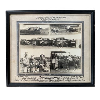 Race Horse Portrait Photo by Joe Fleischer Photography For Sale