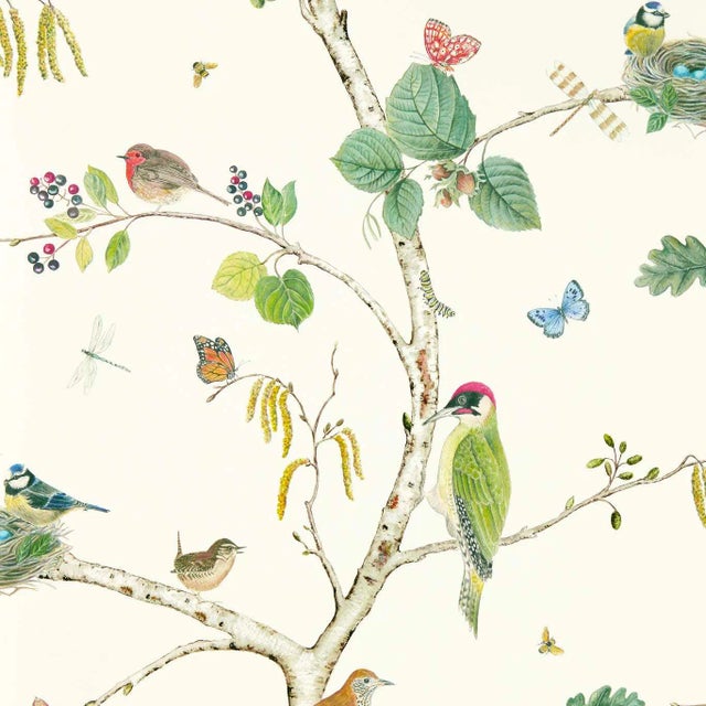 Sanderson Woodland Chorus Wallpaper in Botanical/Multi For Sale