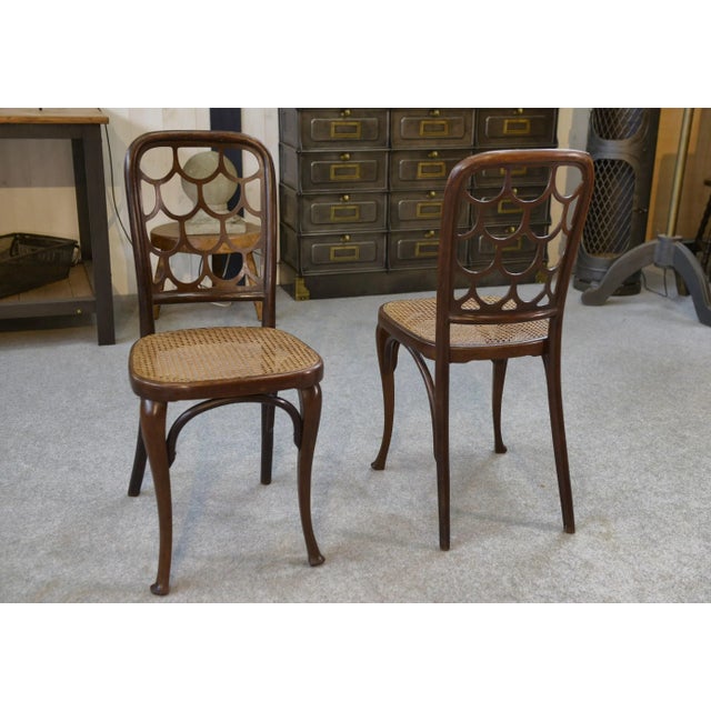Art Nouveau Bentwood Chairs attributed to Koloman Moser for Jacob and Josef Kohn, 1890s-1910s, Set of 2 For Sale - Image 6 of 14