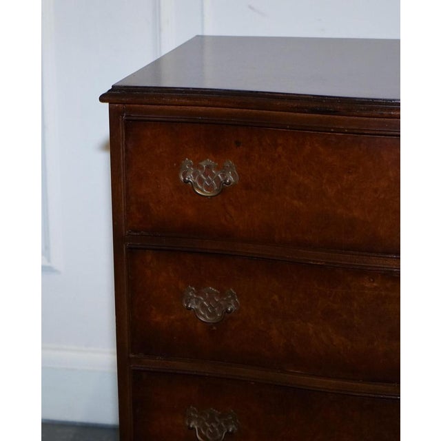 Wood Late 20th Century Burr Walnut Chest of Drawers with Brass Handles For Sale - Image 7 of 16