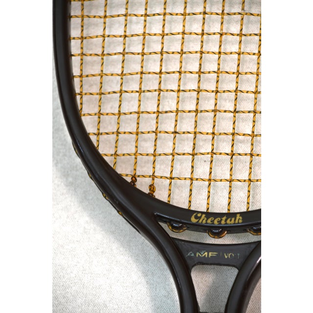 American Vintage Cheetah Racquetball Racket For Sale - Image 3 of 3