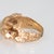 Mid 20th Century Panther Ring Vintage Heavy 16.6 Gm 14k Yellow Gold Fine Animal Jewelry Sz 8.75 For Sale - Image 9 of 9