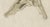 19th Century Bertuch, Crocodile with a Study of Its Skull, 1809, Print For Sale - Image 5 of 12
