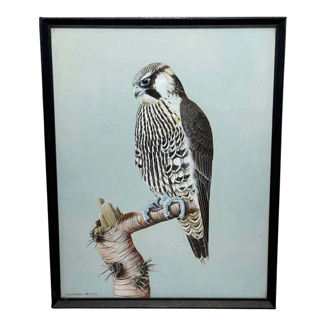 Vintage Original British Gouache Watercolor Peregrine Falcon by David Johnston For Sale