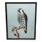 Shop Cheshire Antiques Consultant LTD