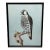 Vintage Original British Gouache Watercolor Peregrine Falcon by David Johnston For Sale