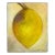 “Lemon” Acrylic on Canvas Painting by Judy Gittelsohn - For Sale