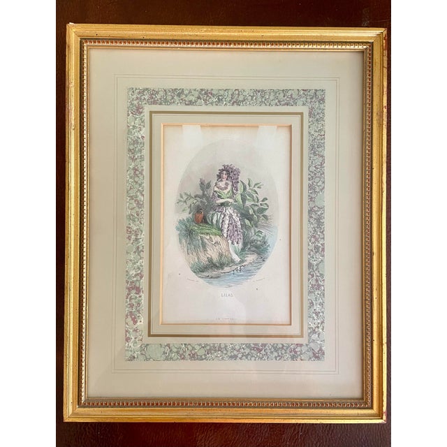 Green Mid 19th Century “Les Fleurs Animées” Original Hand-Painted Antique French Lithographs 1846, Set of 6, Framed For Sale - Image 8 of 12