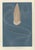 Richard Lydekker, Ctenophores (Comb Jellies) Marine Invertebrates, 1896, Color Process Print For Sale - Image 9 of 9