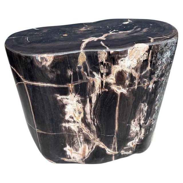 Impressive beautiful contrasting tones and markings on this high quality super smooth, petrified wood side table. It’s...