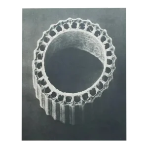1935 Karl Blossfeldt Two-Sided Photogravure N 5-6
