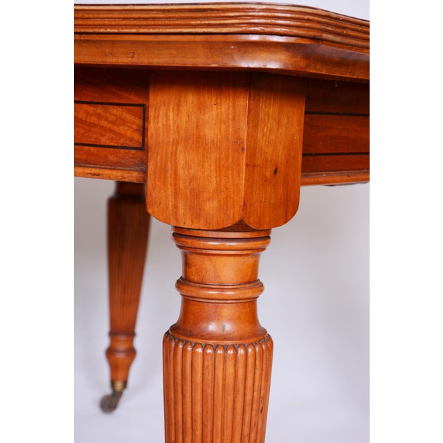 19th Century British Dining Room in Satin Wood, Set of 15 For Sale - Image 8 of 18