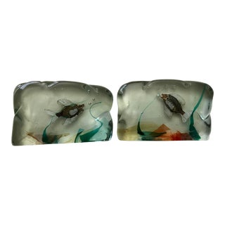 1970s Glass Aquarium Bookends- a Pair For Sale