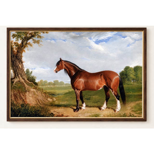 This vintage Clydesdale horse art print by John Frederick Herring brings distinguished English equestrian style to a...