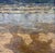 Long shadows fall across a sun-baked shore, stretching toward the water with the certainty that only late-afternoon light...