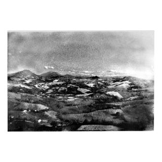 Serena Zeppilli, Expired_09_2020, Photograph For Sale