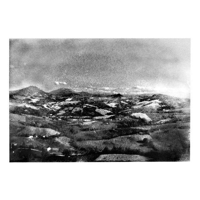 Serena Zeppilli, Expired_09_2020, Photograph For Sale