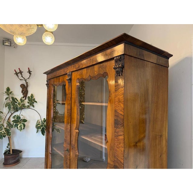 Biedermeier Walnut Display Cabinet For Sale - Image 7 of 18