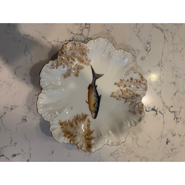 Antique Plates Limoges Gold Rimmed (14 Piece Set) For Sale - Image 14 of 17