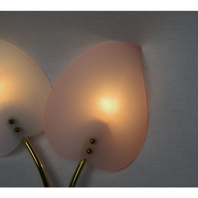 Floral Wall Lights in Acrylic Glass & Brass from Geru Lights, 1950s, Set of 2 For Sale - Image 11 of 18