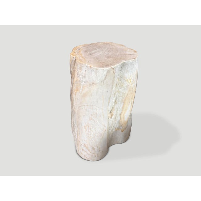 Contemporary Andrianna Shamaris Minimalist Modern Organic Petrified Wood Side Table For Sale - Image 3 of 5