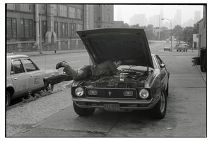 Claude Vesco, New York, Ford Mustang, 1980, Silver Print