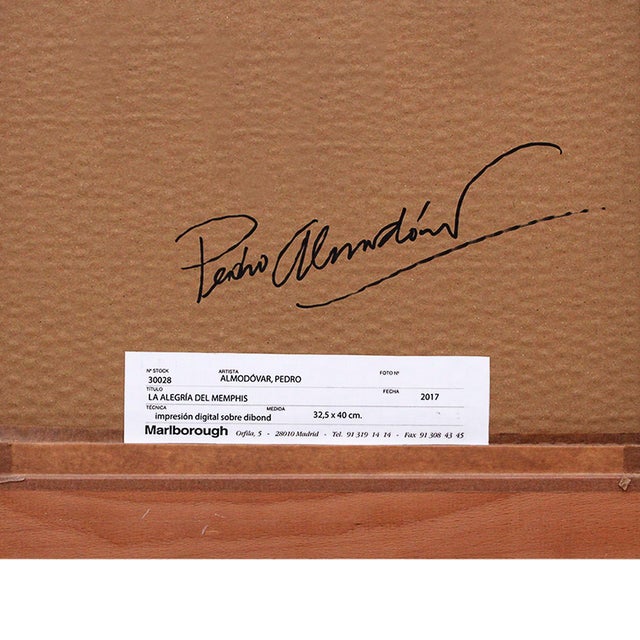 Pedro Almodovar, The Joy of Memphis Still Life, 2018, Digital Print on Dibond For Sale - Image 7 of 10