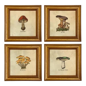 Set of 4 Vintage Style Mushroom Framed Prints