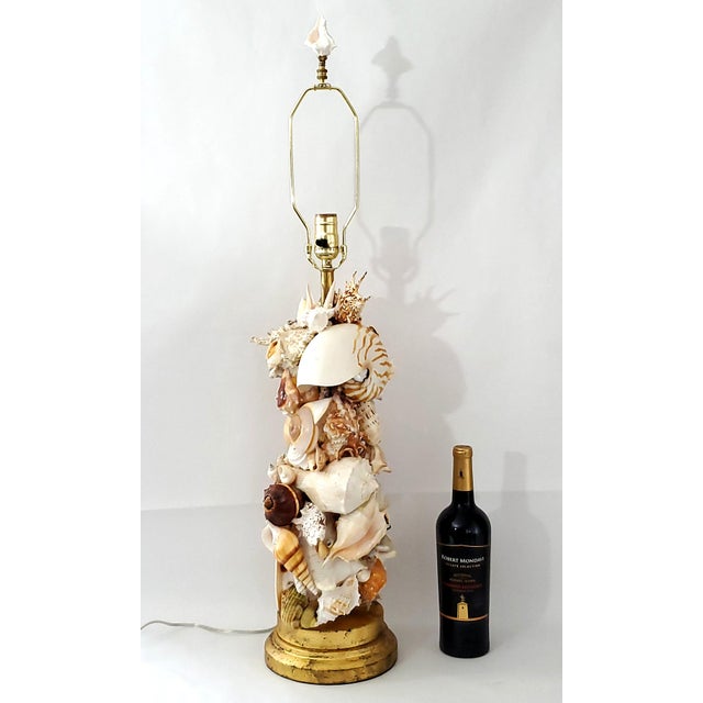 Metal Lamp Seashells Shells For Sale - Image 7 of 17