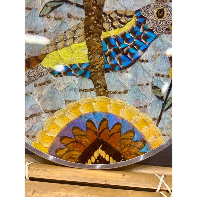 Hollywood Regency Vintage Brazilian Butterfly Wing Bird Tray Wall Art, Round Lucite and Steel For Sale - Image 3 of 5